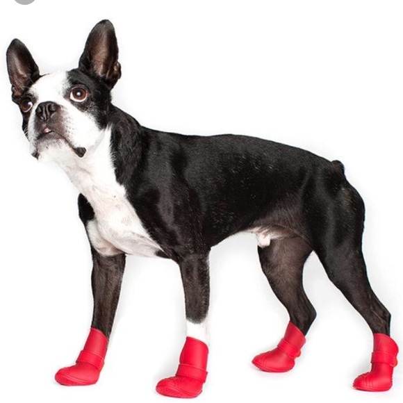 puppy wellies